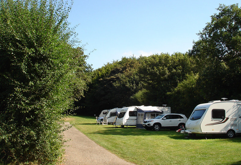 Shrublands Campsite 2