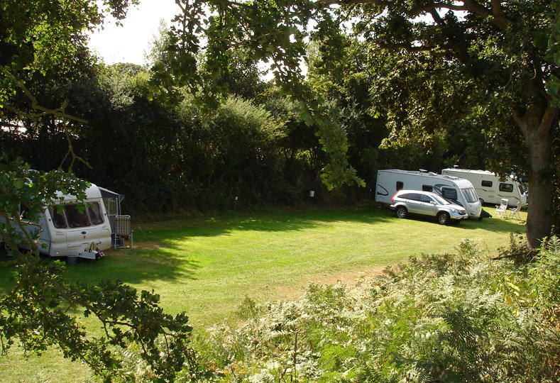 Shrublands Campsite 4