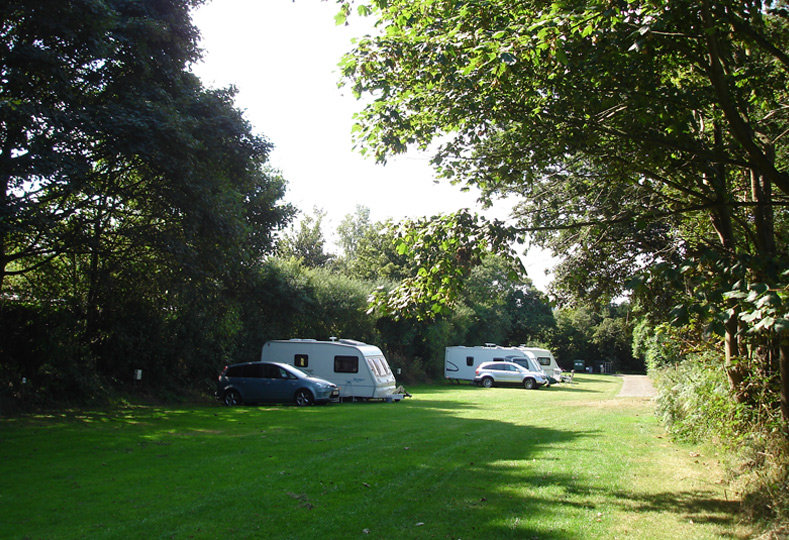 Shrublands Campsite 5