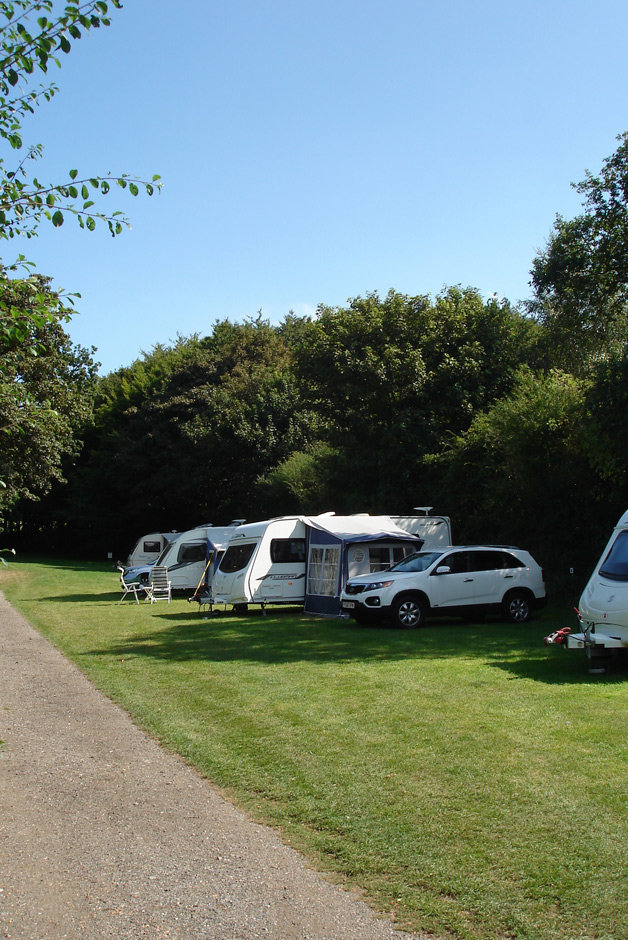 Shrublands Campsite 6