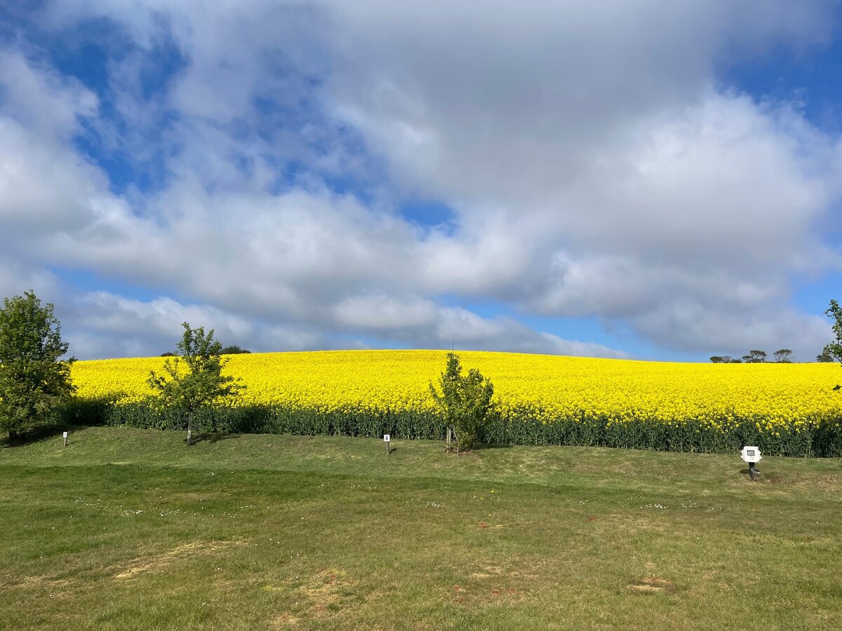 Shrublands Farm — photo 4